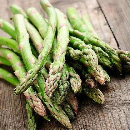 🔥Hot Save🔥-Four Seasons Asparagus Mary Washington Seeds