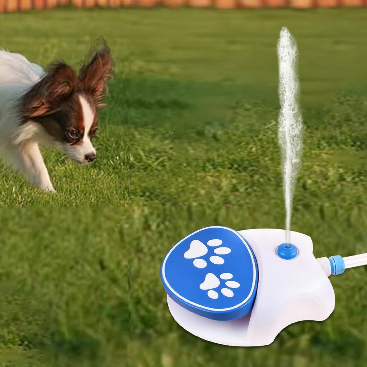 🔥HOT SALE 49% OFF 🔥Outdoor Dog Water Fountain Toy – Interactive Water Fountain with Hose